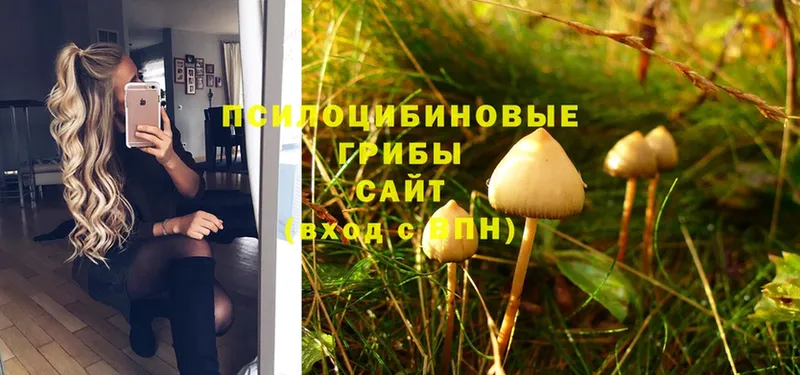 Галлюциногенные грибы Magic Shrooms  наркота  Похвистнево 